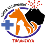 Clinica Veterinaria Timanfaya