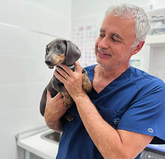 Clinica Veterinaria Timanfaya en Arrecife Clinica Veterinaria Timanfaya en Arrecife